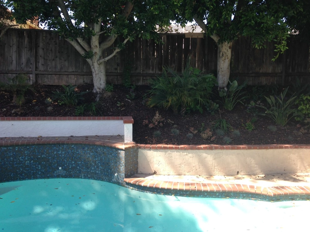 Tyree Residence by SP Gardens - Susanna Pagan Landscape Design - Photo 9