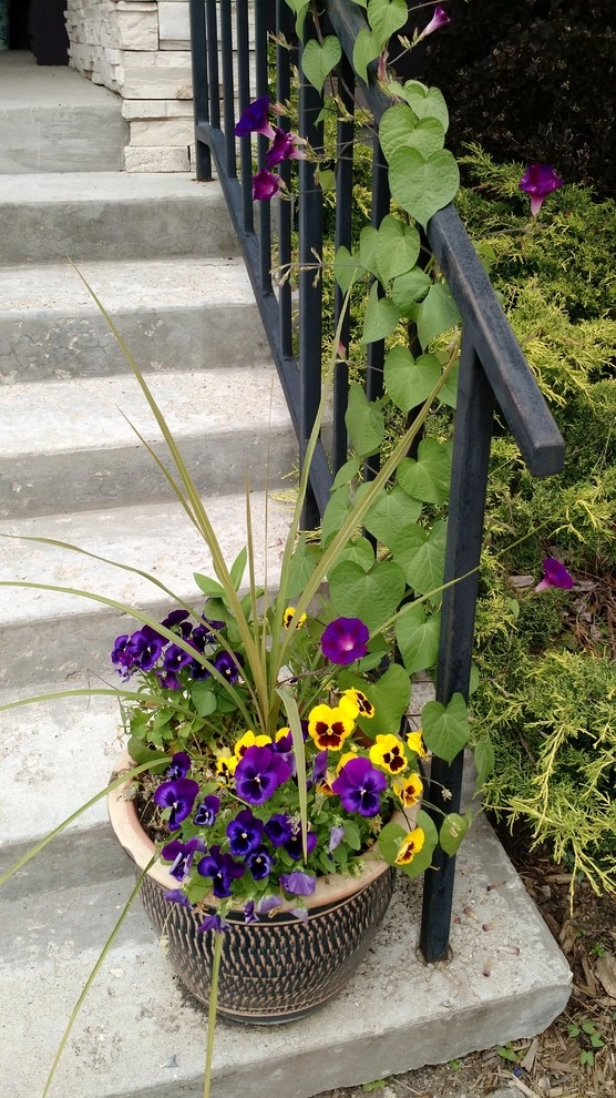 Craftsman Small-Space Gardening by Avant Gardening & Landscaping Inc - Photo 4