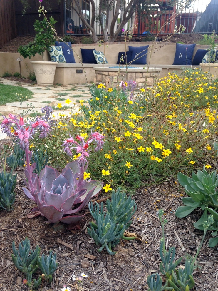 Nasser Residence by SP Gardens - Susanna Pagan Landscape Design - Photo 10