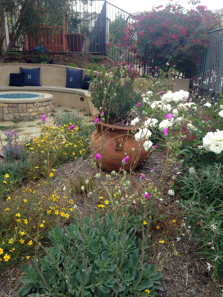 Nasser Residence by SP Gardens - Susanna Pagan Landscape Design - Photo 5