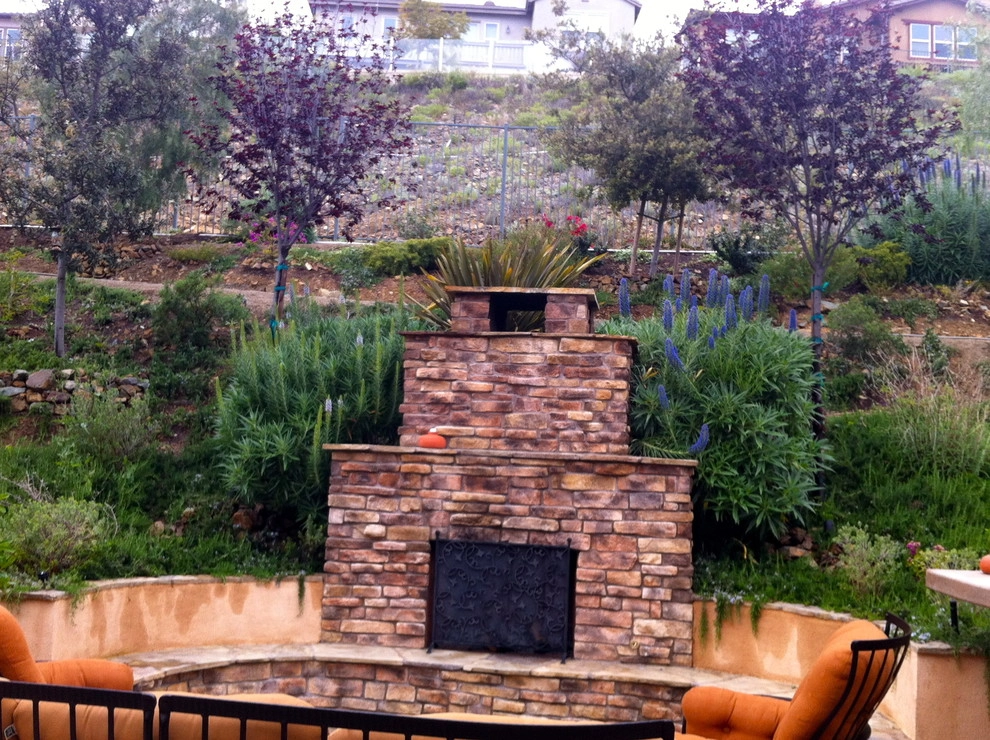 Maney Residence - San Elijo Hills by SP Gardens - Susanna Pagan Landscape Design - Photo 5