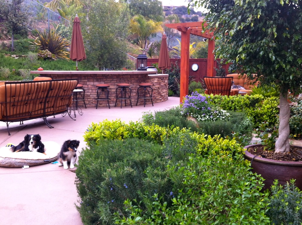 Maney Residence - San Elijo Hills by SP Gardens - Susanna Pagan Landscape Design - Photo 7