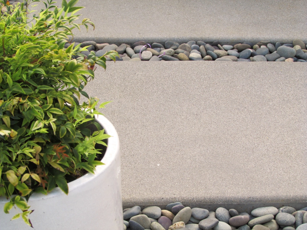 Landie Coastal Modern by SP Gardens - Susanna Pagan Landscape Design - Photo 10