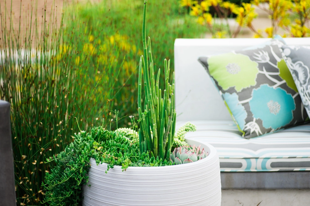 Valdes 'Miami West' Modern Design by SP Gardens - Susanna Pagan Landscape Design - Photo 16