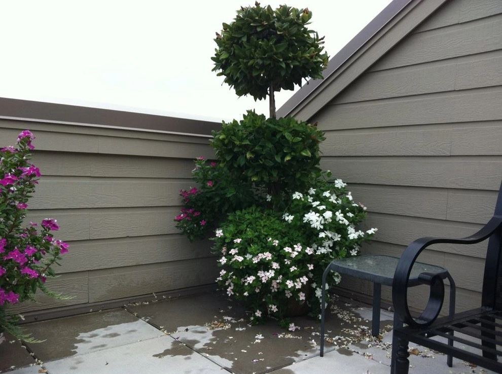 Brumley Gardens - Photo 3