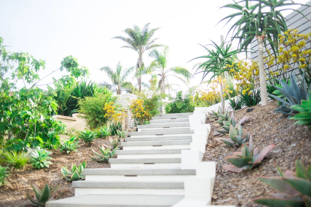 Valdes 'Miami West' Modern Design by SP Gardens - Susanna Pagan Landscape Design - Photo 52