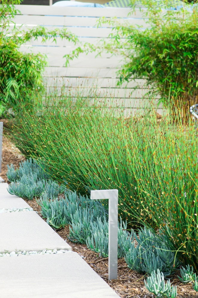 Valdes 'Miami West' Modern Design by SP Gardens - Susanna Pagan Landscape Design - Photo 32