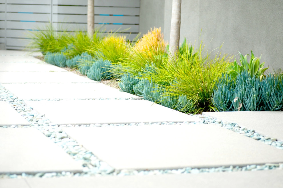 Valdes 'Miami West' Modern Design by SP Gardens - Susanna Pagan Landscape Design - Photo 13