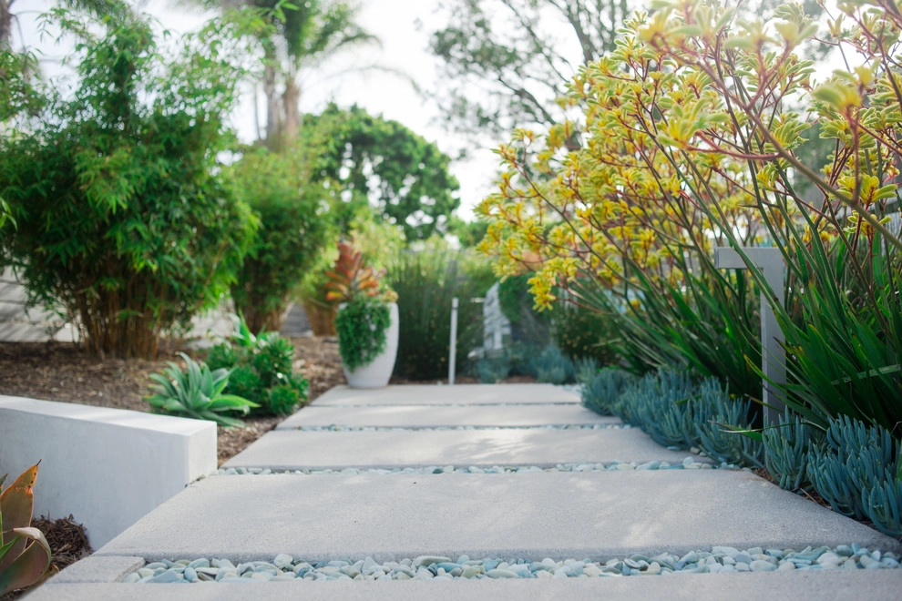 Valdes 'Miami West' Modern Design by SP Gardens - Susanna Pagan Landscape Design - Photo 4