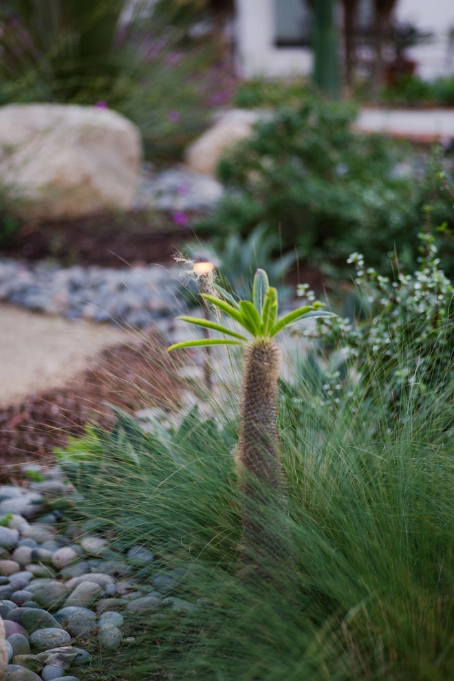 Casa de Aire y Sol Residence by SP Gardens - Susanna Pagan Landscape Design - Photo 6
