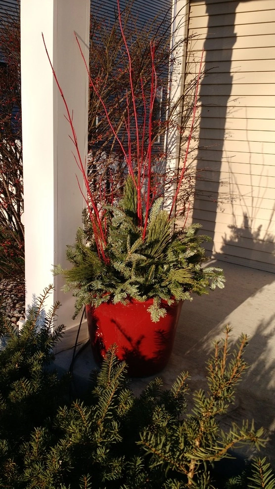 Containers by Avant Gardening & Landscaping Inc - Photo 6
