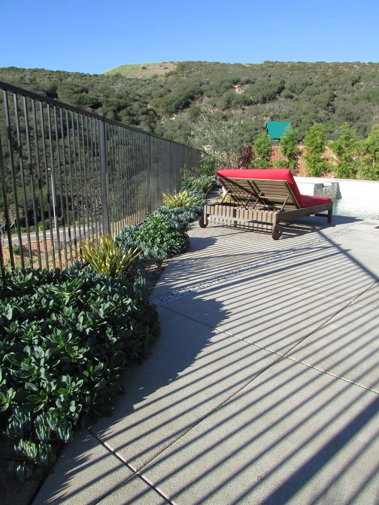 Marvil Residence by SP Gardens - Susanna Pagan Landscape Design - Photo 5