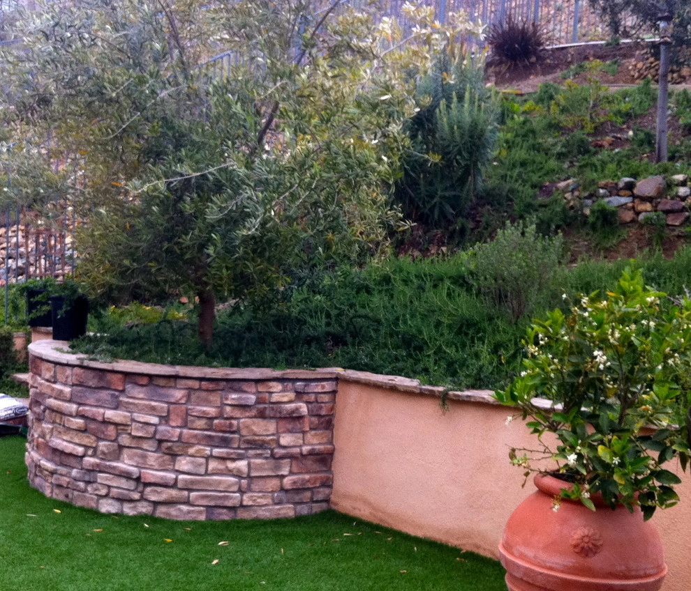 Maney Residence - San Elijo Hills by SP Gardens - Susanna Pagan Landscape Design - Photo 3