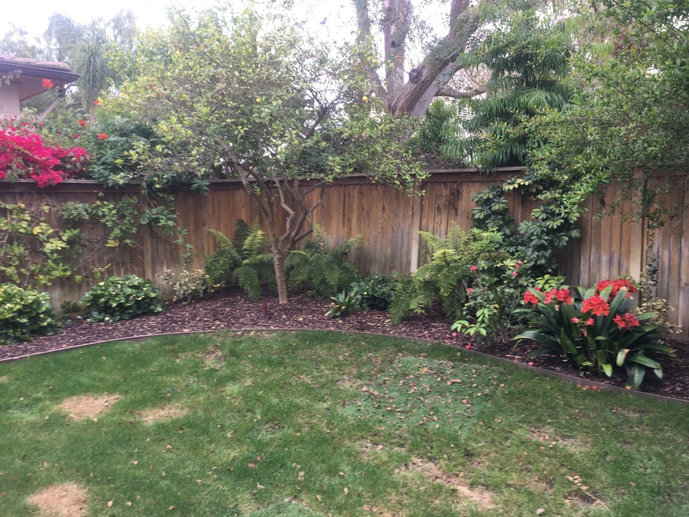 Landie Coastal Modern by SP Gardens - Susanna Pagan Landscape Design - Photo 5