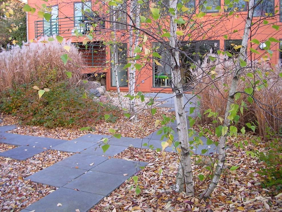 Bluestone Contemporary by Avant Gardening & Landscaping Inc - Photo 3