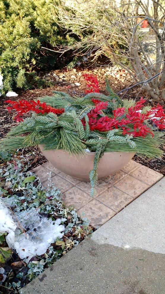 Containers by Avant Gardening & Landscaping Inc - Photo 2