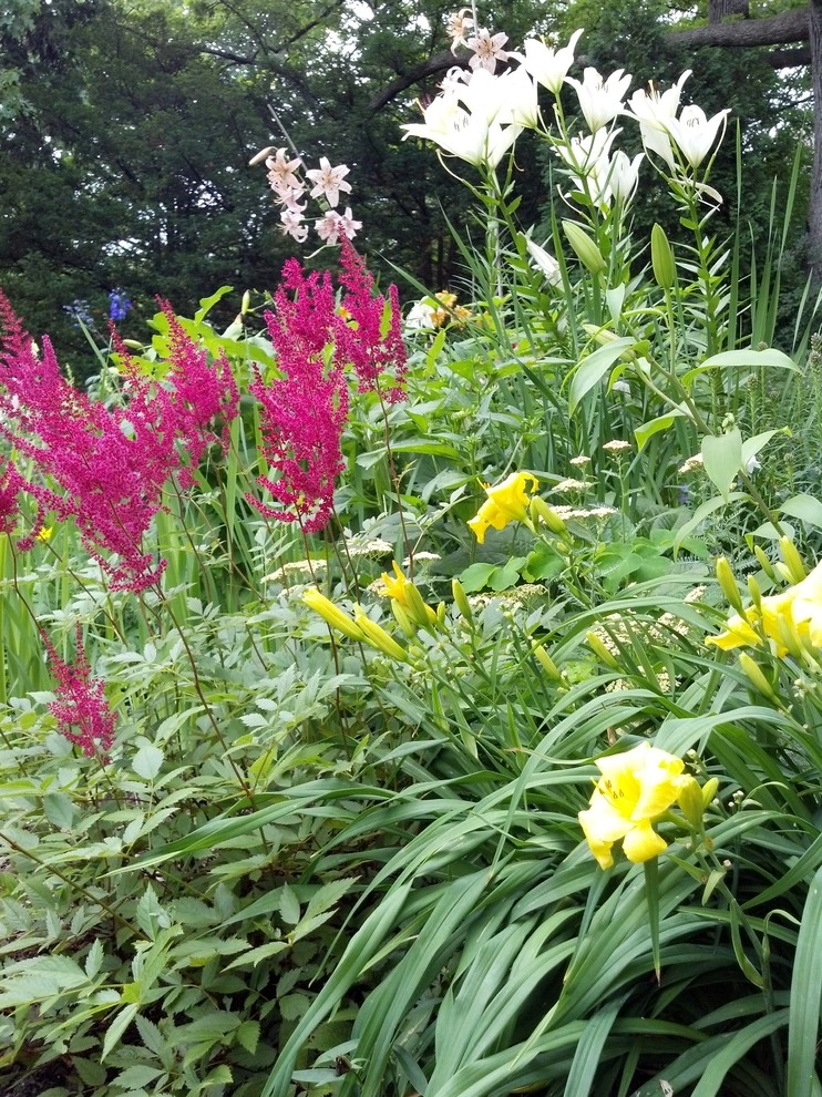 1920's Colonial Garden by Avant Gardening & Landscaping Inc - Photo 6
