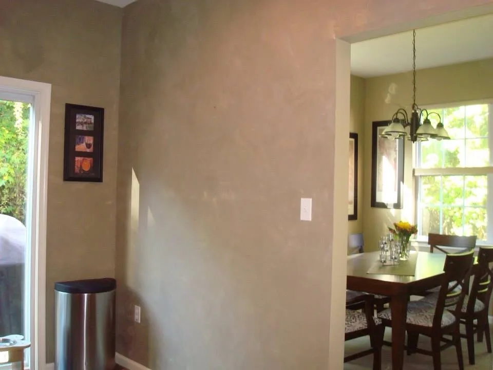 Princeton, NJ Transitional Dining Room by A B Graham Contracting - Photo 7