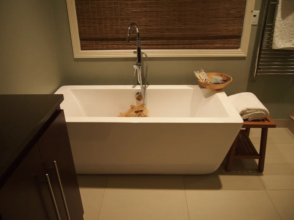 Kozlowski Main Bathroom by NW Residential Inc. - Photo 8