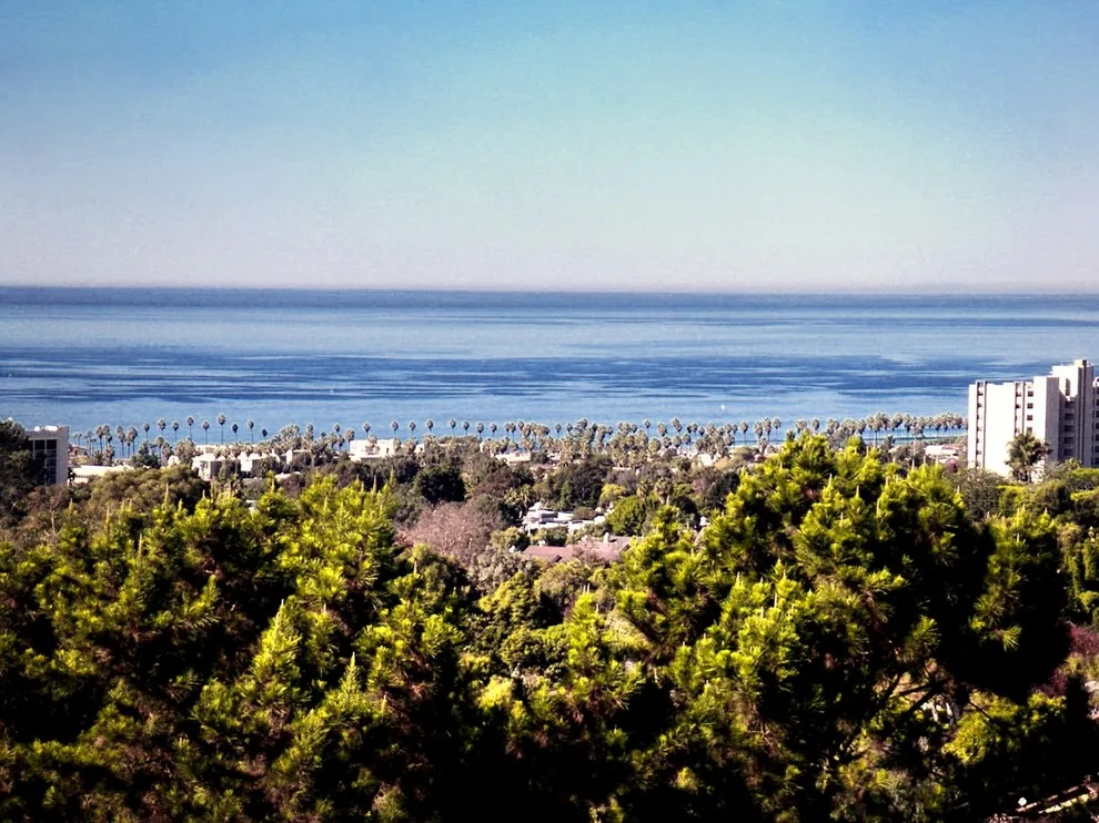 Shores of La Jolla by Priority 1 Project Management - Photo 7