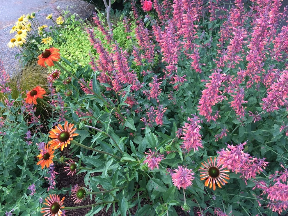 Spirit Garden Design - Photo 11