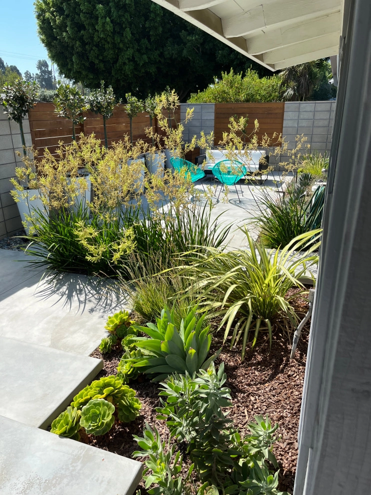 Cliff May Rancho 5 by Avenue 39 Landscape Design - Photo 9