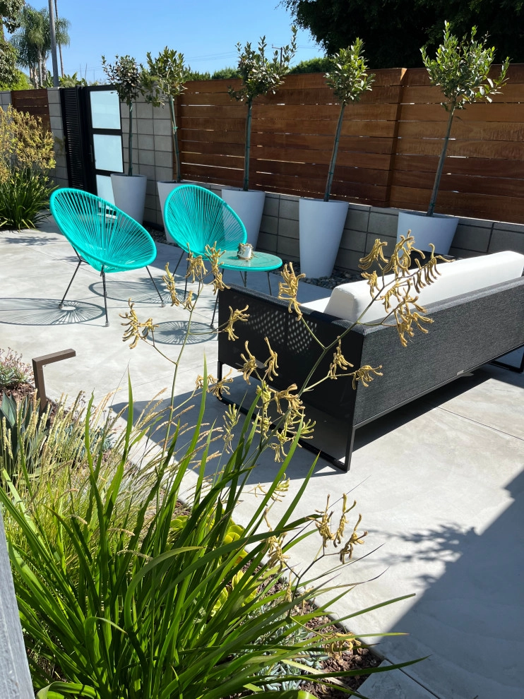 Cliff May Rancho 5 by Avenue 39 Landscape Design - Photo 7