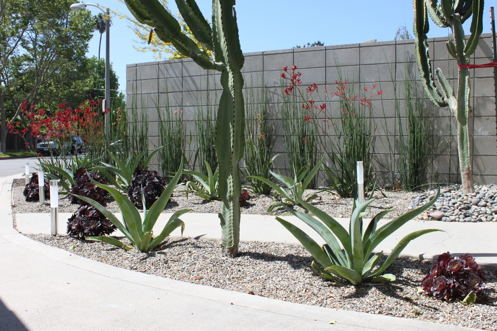 Cliff May Rancho 2 by Avenue 39 Landscape Design - Photo 4
