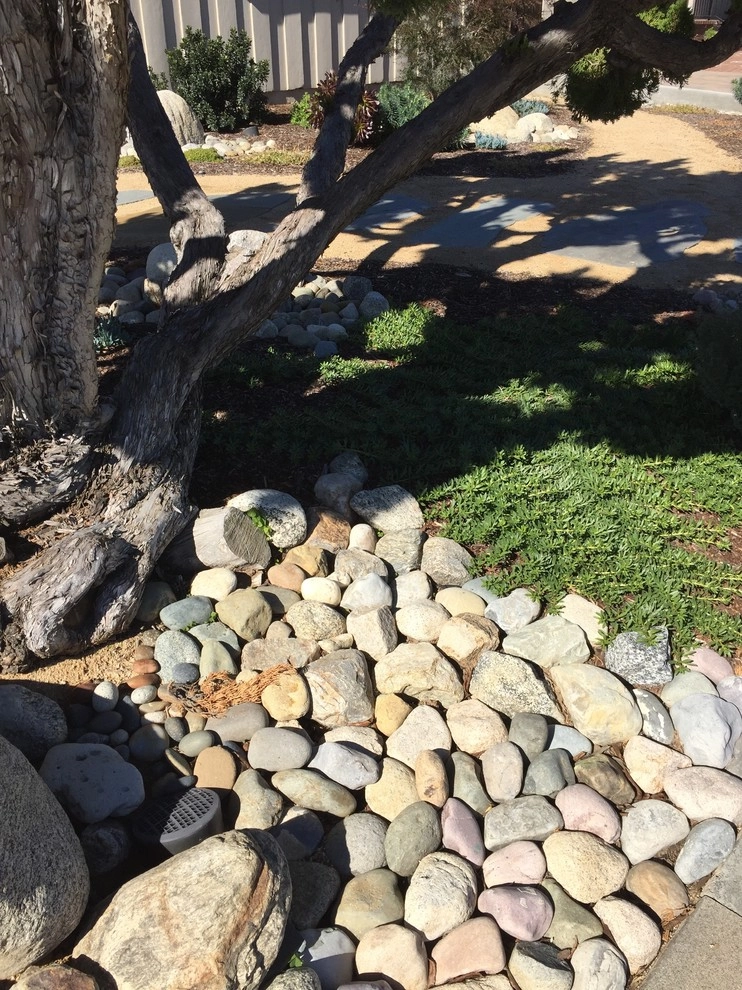 Brea Residence by Avenue 39 Landscape Design - Photo 5