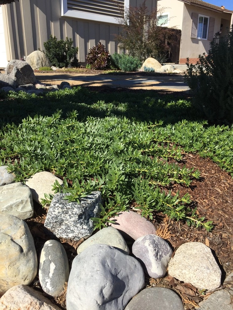 Brea Residence by Avenue 39 Landscape Design - Photo 7
