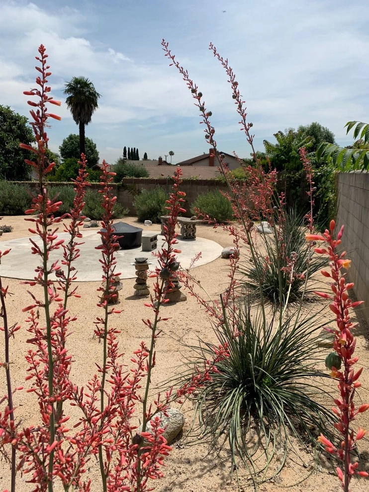 Hacienda Heights Residence by Avenue 39 Landscape Design - Photo 3