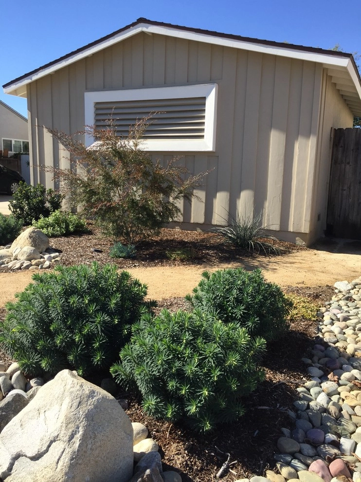 Brea Residence by Avenue 39 Landscape Design - Photo 10