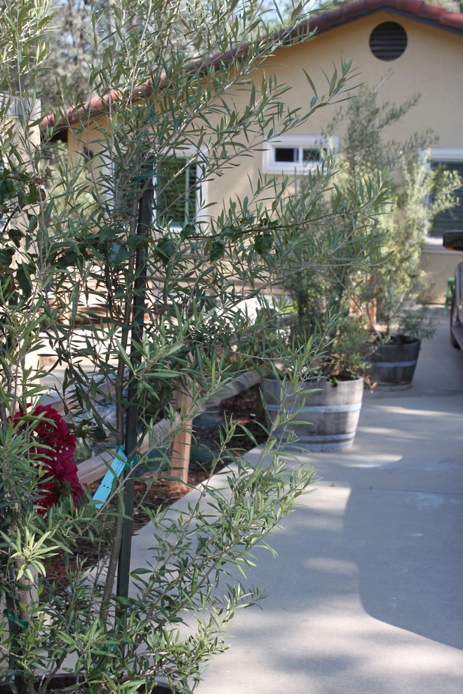 Avenue 39 Landscape Design - Photo 3