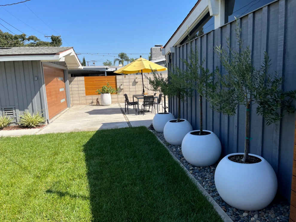 Cliff May Rancho 5 by Avenue 39 Landscape Design - Photo 15