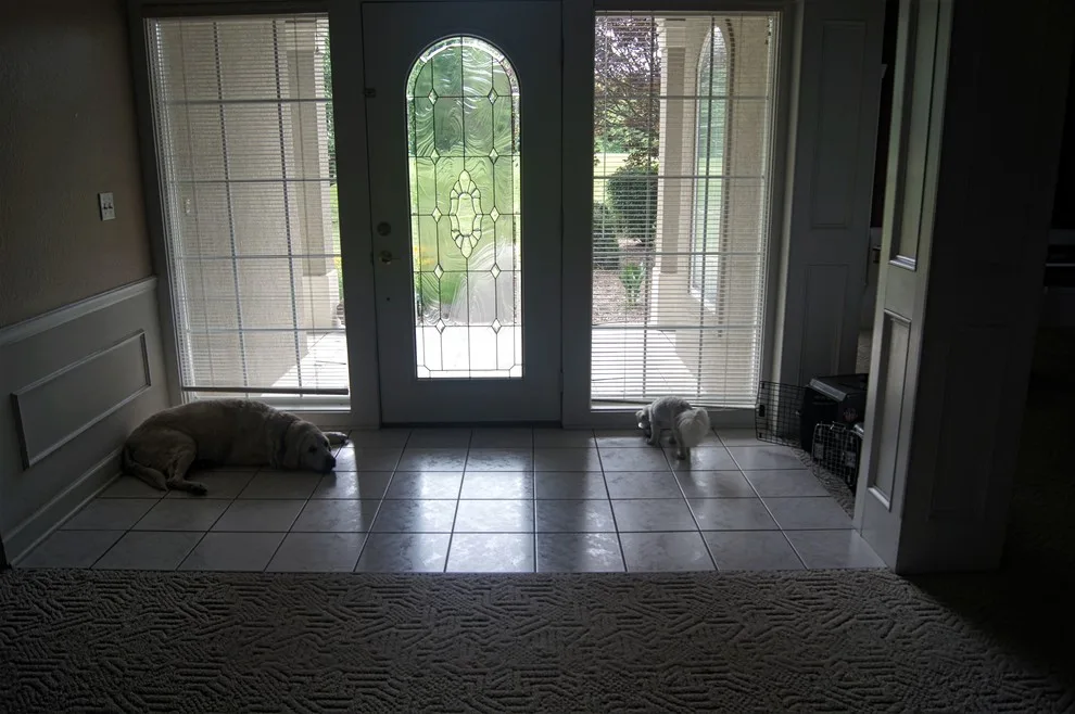 Ground Level Renovation by Trueson Exteriors - Photo 6