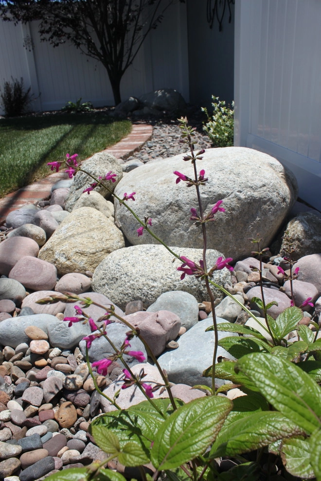 Nipomo Residence by Avenue 39 Landscape Design - Photo 9