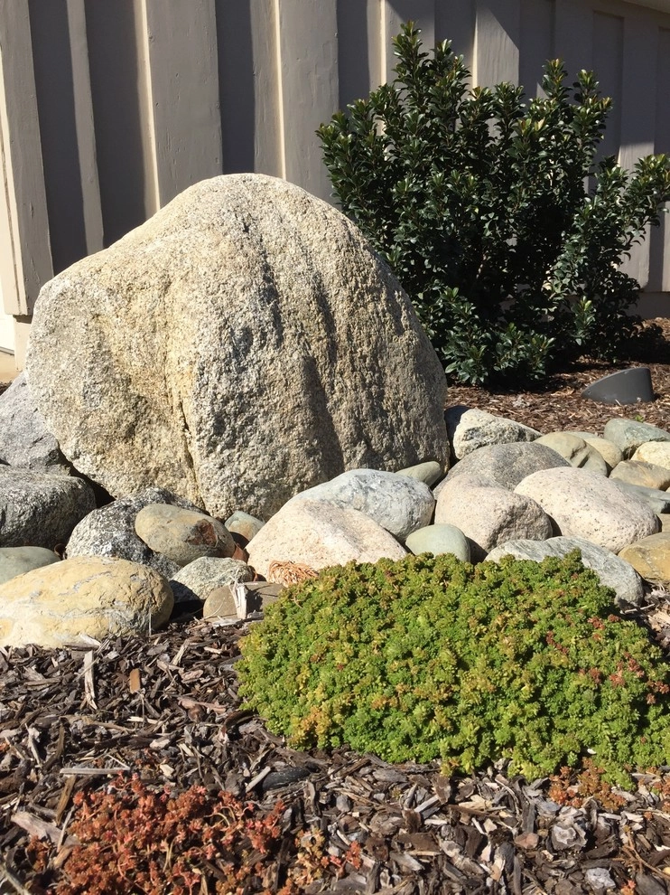 Brea Residence by Avenue 39 Landscape Design - Photo 11