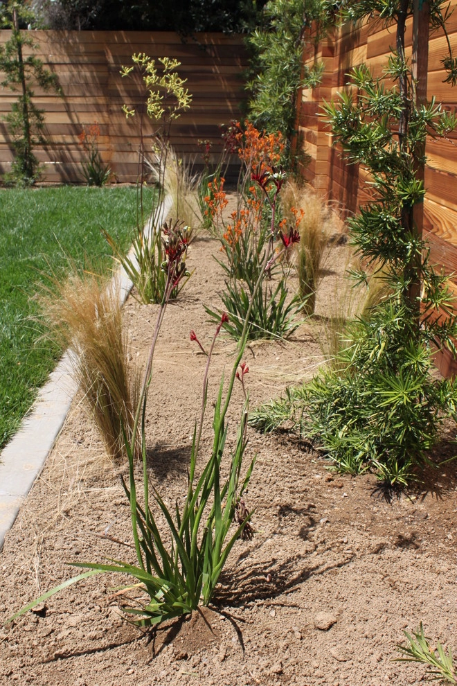 Cliff May Rancho 1 by Avenue 39 Landscape Design - Photo 3