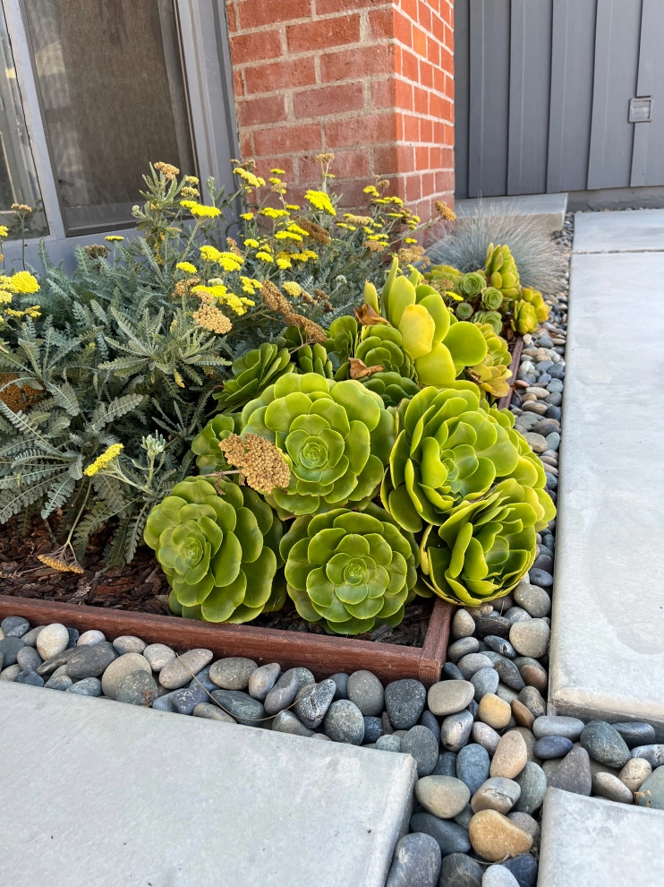 Cliff May Rancho 5 by Avenue 39 Landscape Design - Photo 3