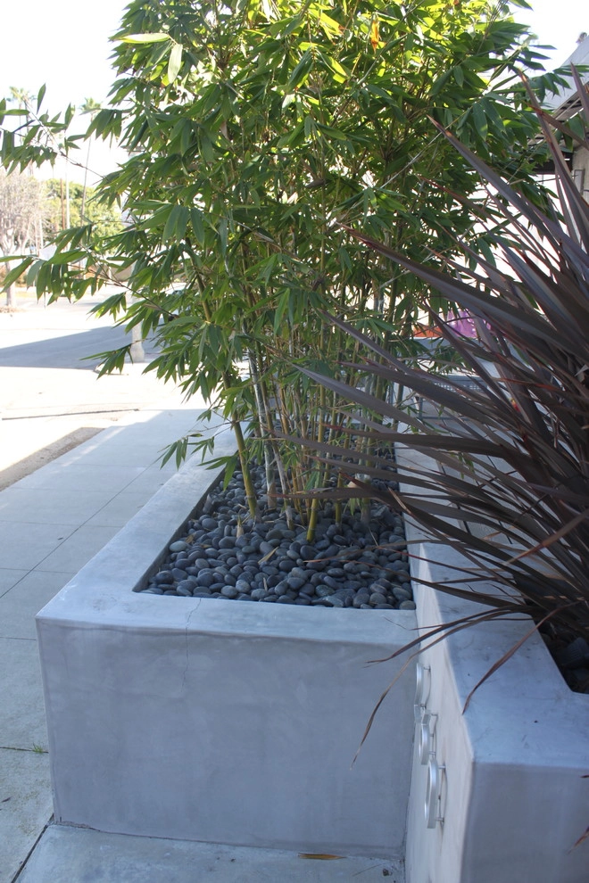 The Toledo by Avenue 39 Landscape Design - Photo 2