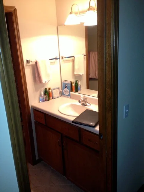 Primary and Secondary Bathroom Renovation by Twin Lakes Woodworking & Remodeling - Photo 3