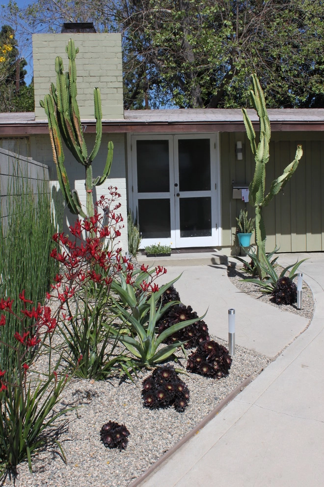 Cliff May Rancho 2 by Avenue 39 Landscape Design - Photo 5