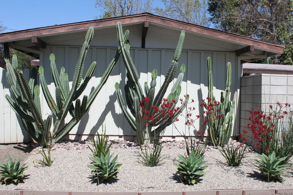 Cliff May Rancho 2 by Avenue 39 Landscape Design - Photo 6