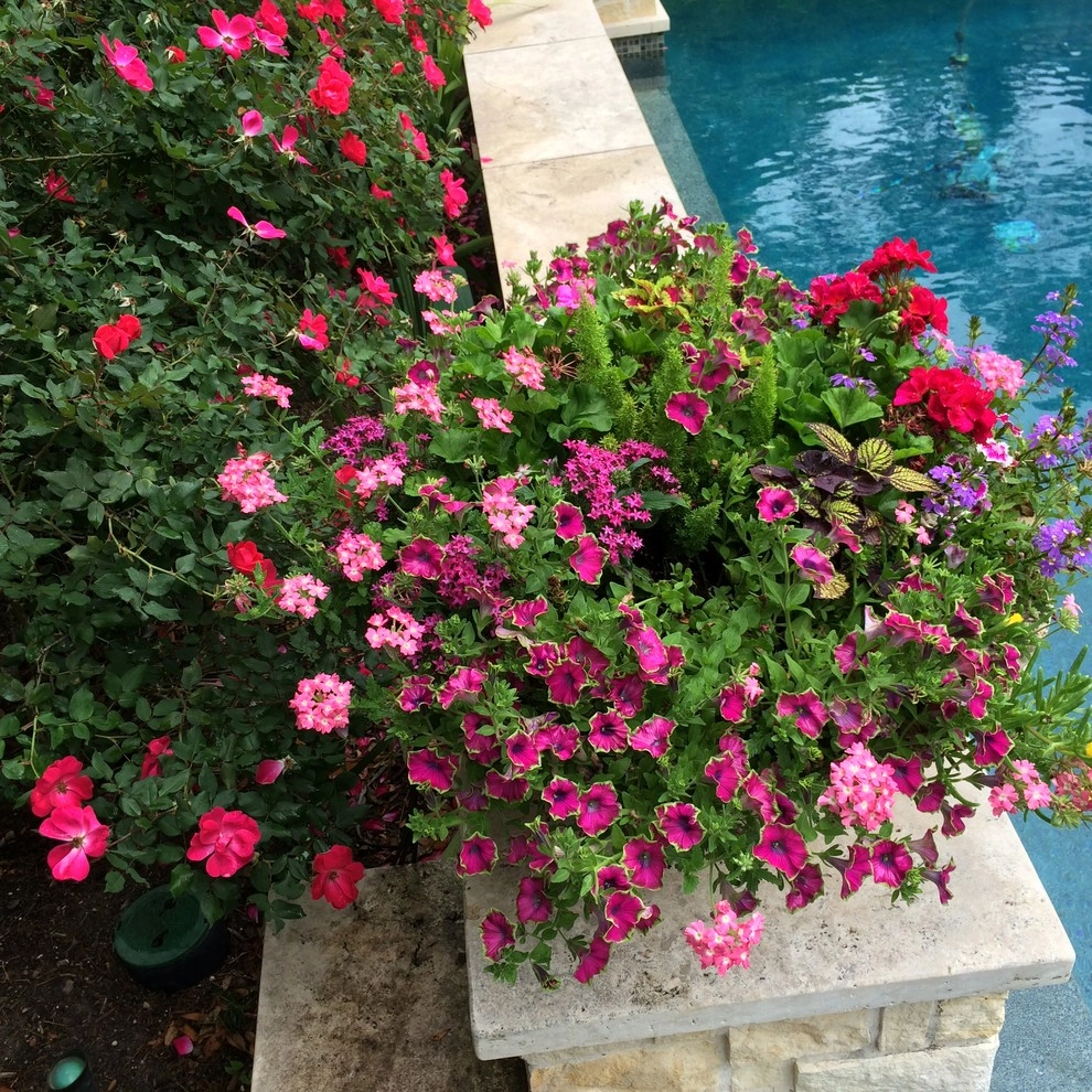 Spring Color Low Bowls by Sterling Design & Landscape Resources - Photo 5