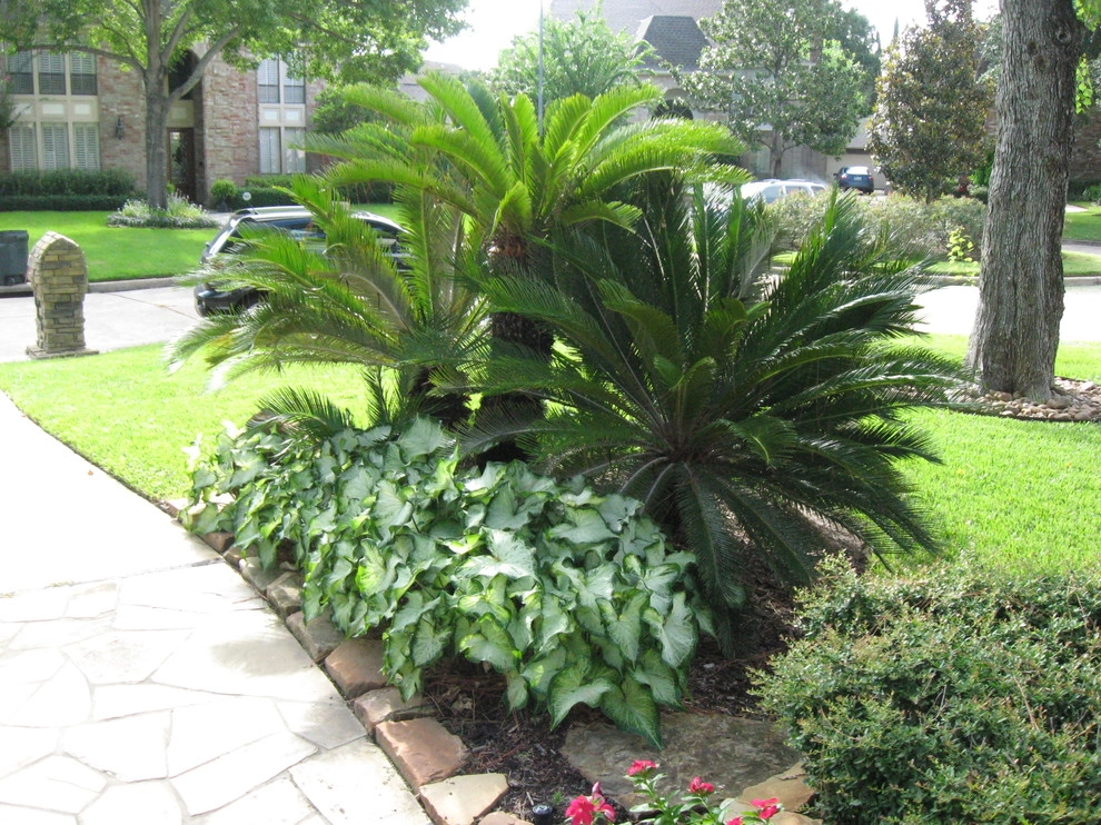 Front Yard Landscape September 2012 by Sterling Design & Landscape Resources - Photo 20