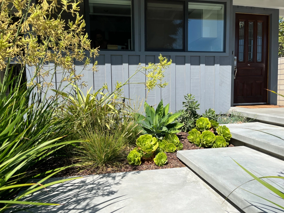 Cliff May Rancho 5 by Avenue 39 Landscape Design - Photo 14