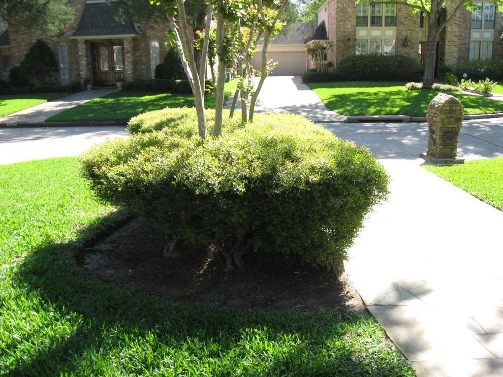 Front Yard Landscape September 2012 by Sterling Design & Landscape Resources - Photo 7