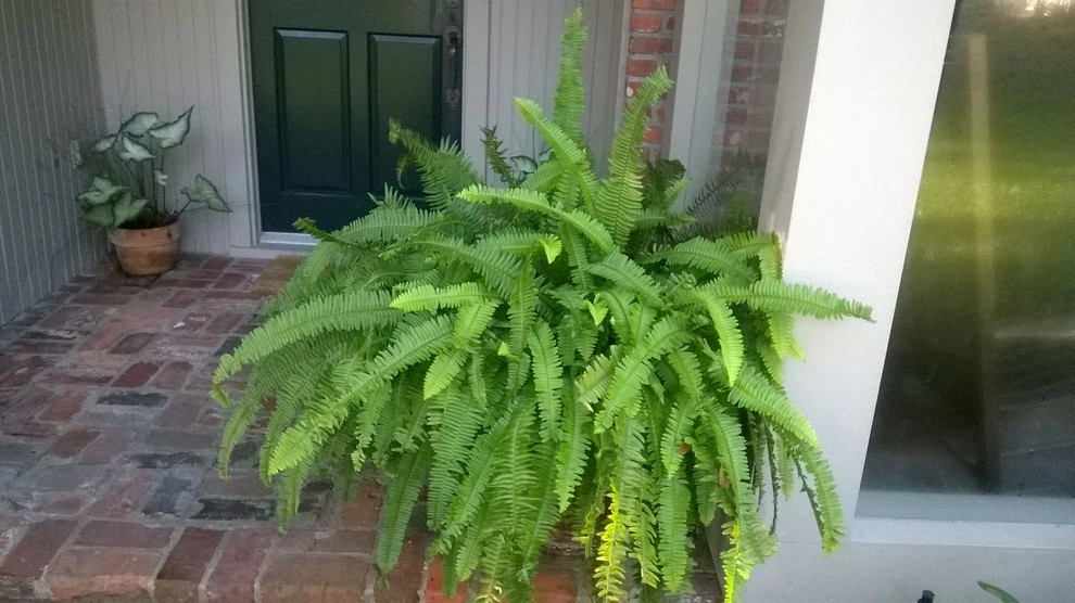 Container Project September 2014 by Sterling Design & Landscape Resources - Photo 8