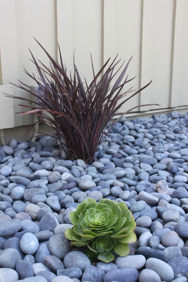 Cliff May Rancho 4 by Avenue 39 Landscape Design - Photo 6