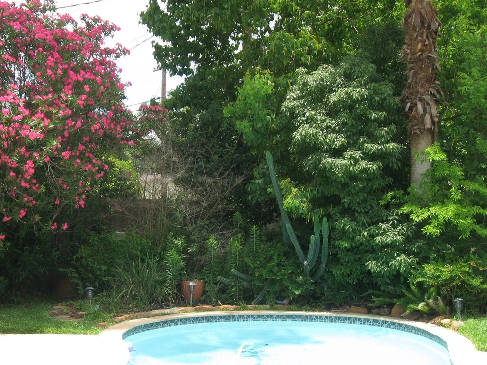 New Low Maintennce Drought Tolerant Landscape- October 2014 by Sterling Design & Landscape Resources - Photo 11